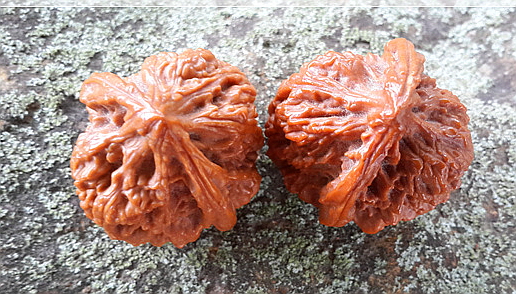 1336e502aaafc5583add64c754814487_1465910