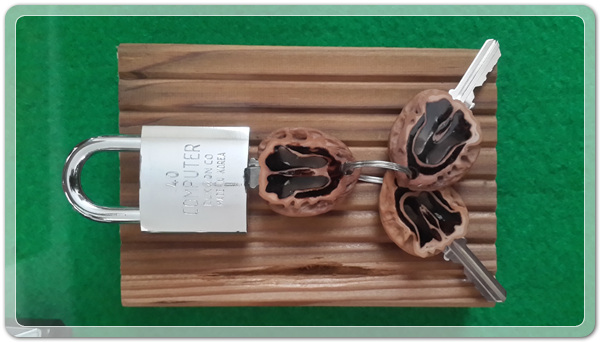 310b75ae4842cde32b52a9c70d23a7ae_1467293