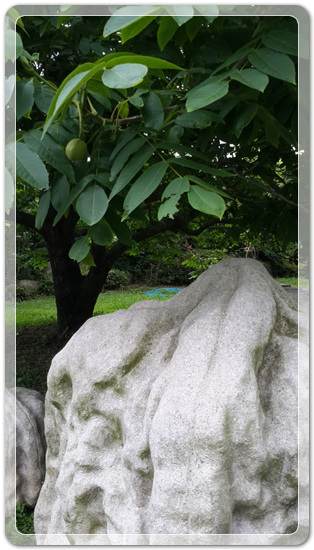 7b4db819e5a65de4b6d5083454c5c766_1466255