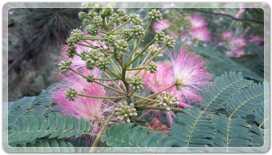 7b4db819e5a65de4b6d5083454c5c766_1466255