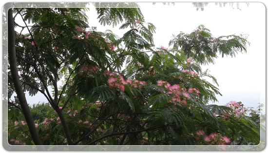 7b4db819e5a65de4b6d5083454c5c766_1466255