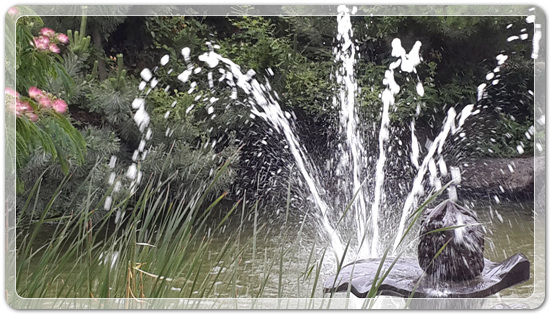 7b4db819e5a65de4b6d5083454c5c766_1466255