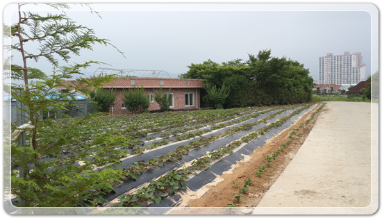 7b4db819e5a65de4b6d5083454c5c766_1466255