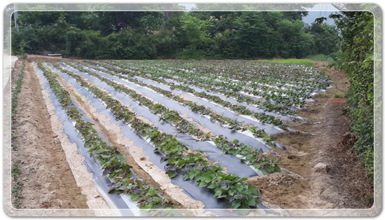 7b4db819e5a65de4b6d5083454c5c766_1466255