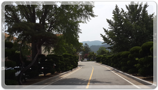 cf068fe68fd4b75a30f961c39ebea98e_1464867