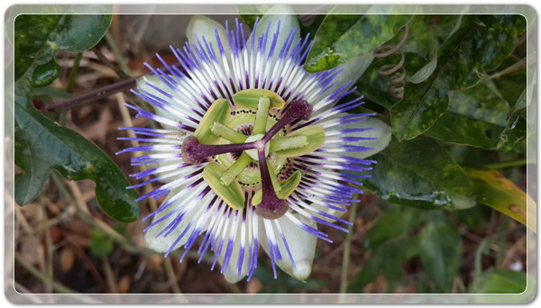 da7cb074226c1ceb9931bbbd6ddddec2_1465166