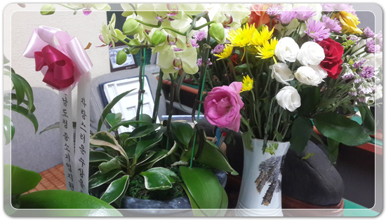 e683ade9bfc9bd32c920088e98cd6a6b_1466774