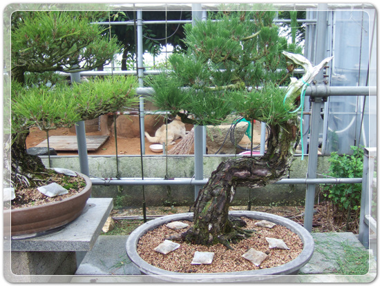 e683ade9bfc9bd32c920088e98cd6a6b_1466774