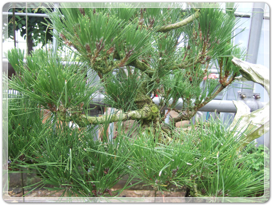 e683ade9bfc9bd32c920088e98cd6a6b_1466774