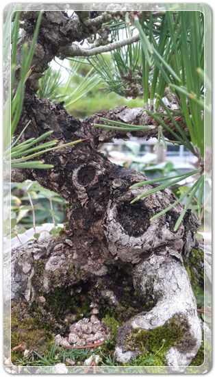 044931f277a9dd6a7ee5163f9b706107_1468588