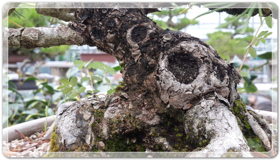 044931f277a9dd6a7ee5163f9b706107_1468588