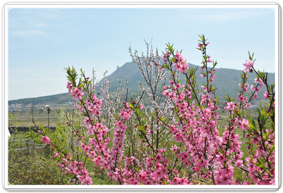 15d5364e7680b03039f6152b5f19d788_1469540