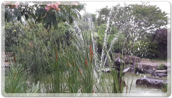 1bcdd70aea21d392cf8be3a3ea046752_1468150