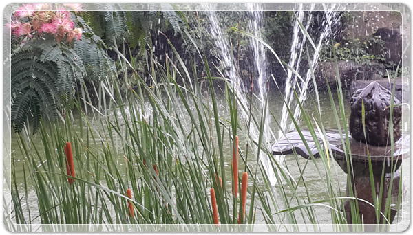 1bcdd70aea21d392cf8be3a3ea046752_1468150