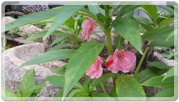 1bcdd70aea21d392cf8be3a3ea046752_1468150