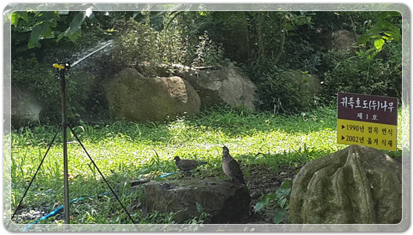 37b9c62966e01ec225ecbb6d908daec2_1469786