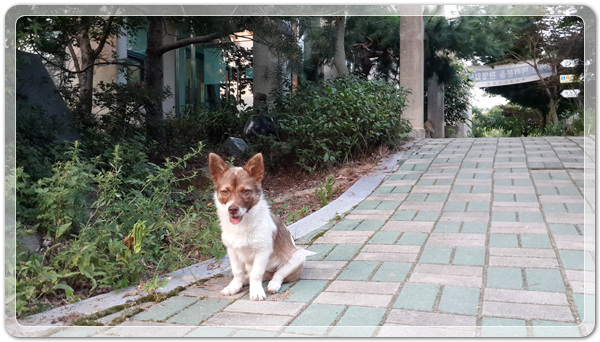 37b9c62966e01ec225ecbb6d908daec2_1469789