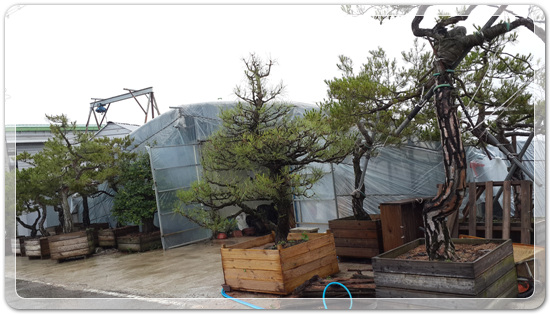 59dbf7d51a5f3d2777dfc192bcaff4df_1467466