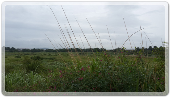 59dbf7d51a5f3d2777dfc192bcaff4df_1467466