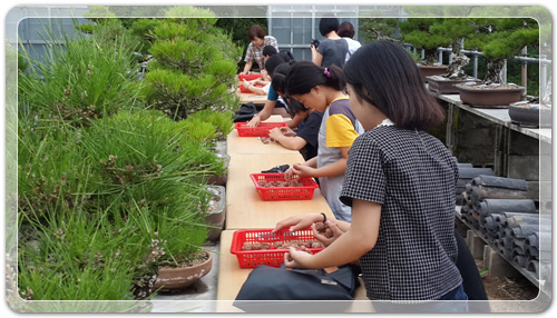 6dbf627712ee93f745905a8761d7b21a_1468668