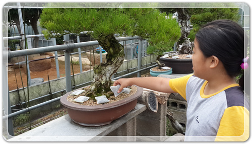 6dbf627712ee93f745905a8761d7b21a_1468668