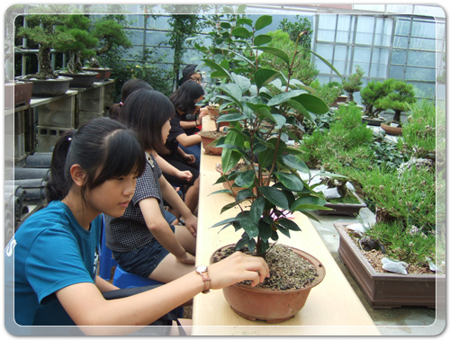 6dbf627712ee93f745905a8761d7b21a_1468668