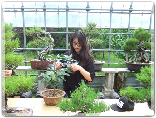 6dbf627712ee93f745905a8761d7b21a_1468668