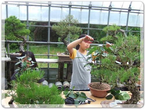 6dbf627712ee93f745905a8761d7b21a_1468668