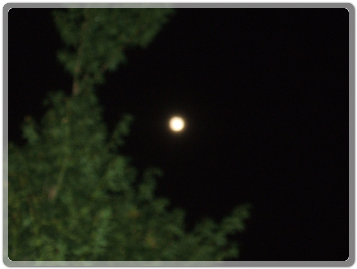 7dd95d85de7270949c54e57bb30cb2d8_1468849