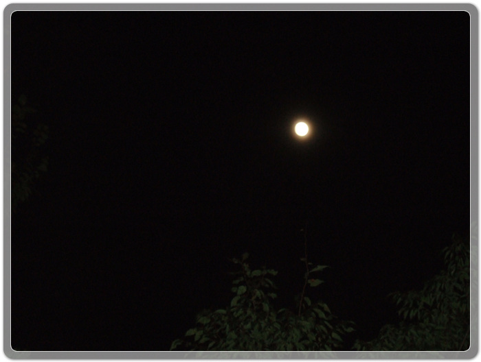 7dd95d85de7270949c54e57bb30cb2d8_1468849