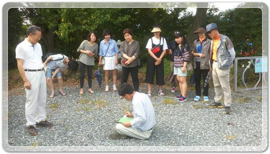 8cc5f88991216d42e3e212685d57d28b_1469196