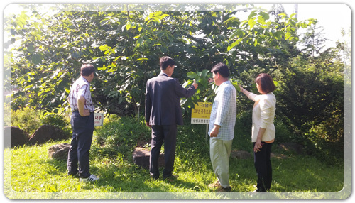 916ccc70802e4b21fe1af6712da89288_1469099