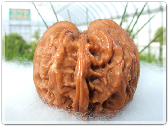 be8ffd987f88b331a028319e43a718cb_1467717