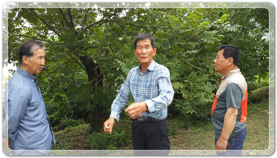 be8ffd987f88b331a028319e43a718cb_1467717