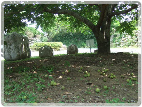 c8847e0c4bb4b1e197525818cede200b_1468661