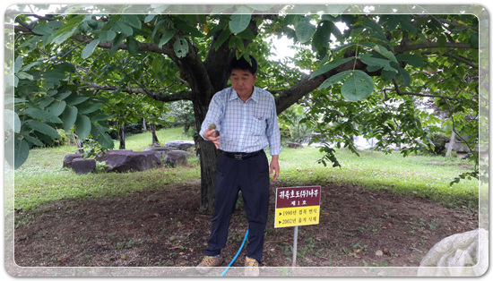 c8847e0c4bb4b1e197525818cede200b_1468661