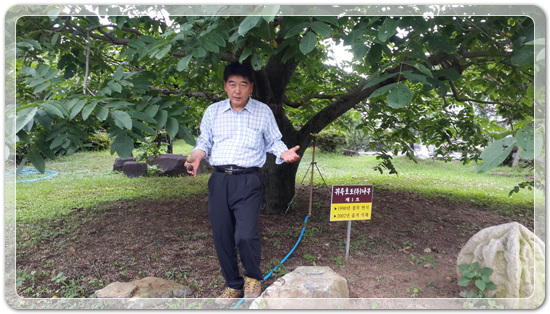 c8847e0c4bb4b1e197525818cede200b_1468661