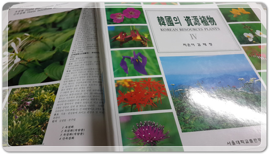 ef3288f95bc3eed80fff45fcf5d3d69d_1467632