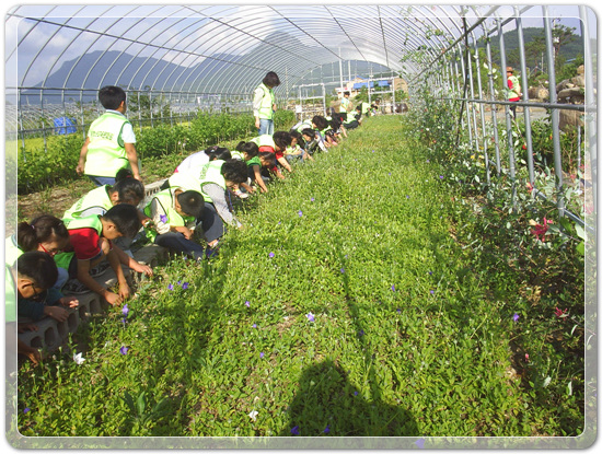 ef3288f95bc3eed80fff45fcf5d3d69d_1467632