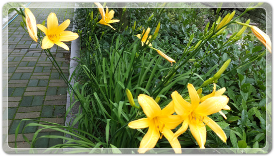 ef3288f95bc3eed80fff45fcf5d3d69d_1467633