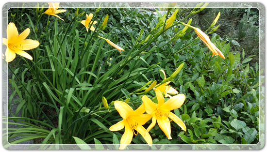 ef3288f95bc3eed80fff45fcf5d3d69d_1467633