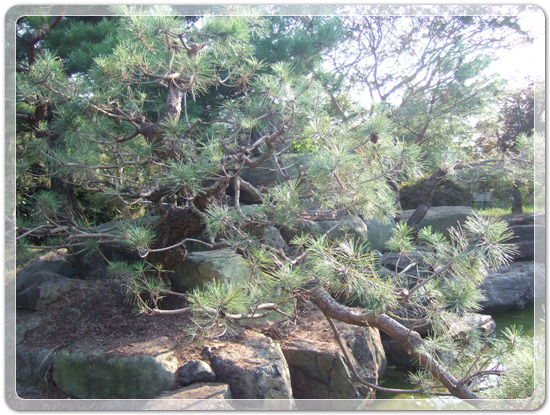 18f653dd63702647f3a44ce9fa1e1a1d_1471516