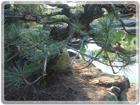 18f653dd63702647f3a44ce9fa1e1a1d_1471516