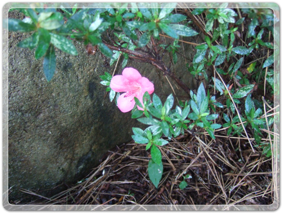 18f653dd63702647f3a44ce9fa1e1a1d_1471516