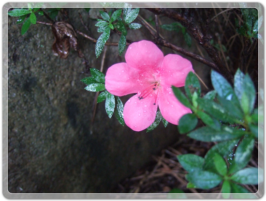 18f653dd63702647f3a44ce9fa1e1a1d_1471516