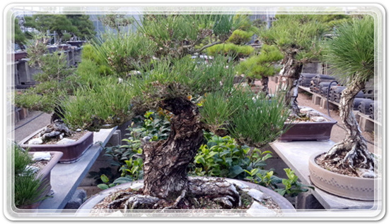 313ad5e16e47e5b2aafd221c466cac42_1471176