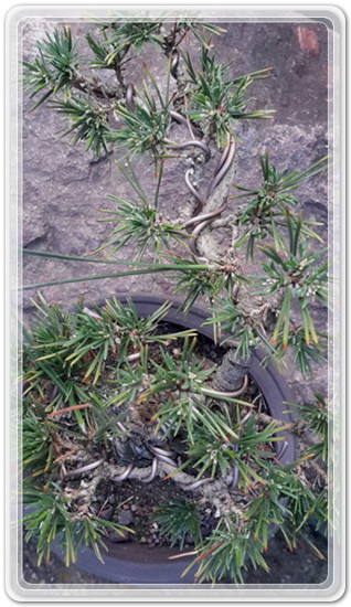 313ad5e16e47e5b2aafd221c466cac42_1471176