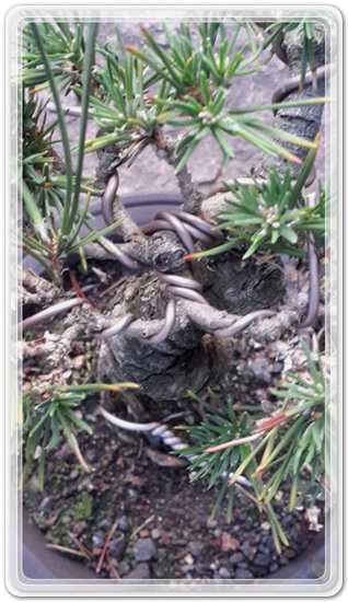 313ad5e16e47e5b2aafd221c466cac42_1471176