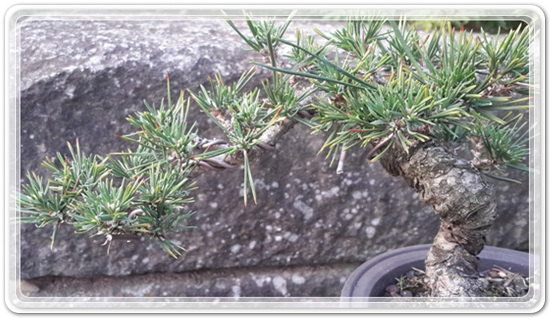 313ad5e16e47e5b2aafd221c466cac42_1471176