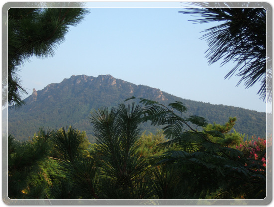 313ad5e16e47e5b2aafd221c466cac42_1471176